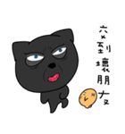 Black Cat and sG 2（個別スタンプ：12）