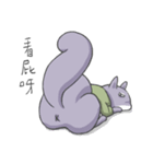 Two squirrels 2（個別スタンプ：8）
