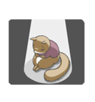 Two squirrels 2（個別スタンプ：15）