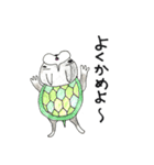 Bostonteria dajare（個別スタンプ：4）