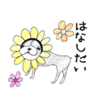 Bostonteria dajare（個別スタンプ：8）