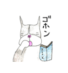 Bostonteria dajare（個別スタンプ：17）
