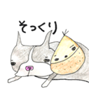 Bostonteria dajare（個別スタンプ：23）