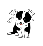 Border collie Mango Wen（個別スタンプ：4）