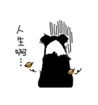 Border collie Mango Wen（個別スタンプ：5）