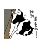 Border collie Mango Wen（個別スタンプ：10）
