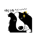 Border collie Mango Wen（個別スタンプ：14）