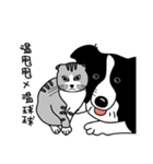 Border collie Mango Wen（個別スタンプ：19）