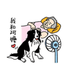 Border collie Mango Wen（個別スタンプ：27）