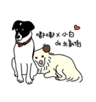 Border collie Mango Wen（個別スタンプ：35）