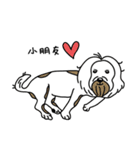 Border collie Mango Wen（個別スタンプ：36）