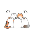 すこにゃん（個別スタンプ：5）