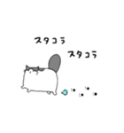 すこにゃん（個別スタンプ：10）
