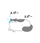 すこにゃん（個別スタンプ：15）
