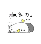 すこにゃん（個別スタンプ：22）