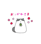 すこにゃん（個別スタンプ：30）