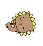 I'm SunBear（個別スタンプ：31）
