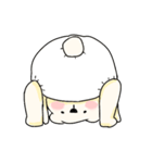 もちもち赤ちゃんシロクマ（個別スタンプ：1）