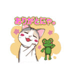 ネコ吉スタンプ Vol.1（個別スタンプ：4）