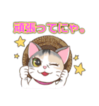 ネコ吉スタンプ Vol.1（個別スタンプ：8）