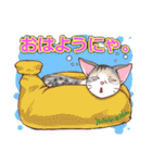 ネコ吉スタンプ Vol.1（個別スタンプ：11）