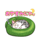 ネコ吉スタンプ Vol.1（個別スタンプ：13）