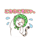 ネコ吉スタンプ Vol.1（個別スタンプ：15）