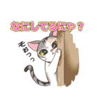 ネコ吉スタンプ Vol.1（個別スタンプ：16）