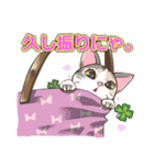 ネコ吉スタンプ Vol.1（個別スタンプ：17）