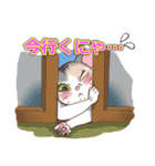ネコ吉スタンプ Vol.1（個別スタンプ：18）