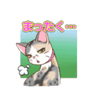 ネコ吉スタンプ Vol.1（個別スタンプ：19）