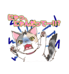 ネコ吉スタンプ Vol.1（個別スタンプ：20）