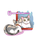 ネコ吉スタンプ Vol.1（個別スタンプ：24）