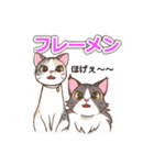 ネコ吉スタンプ Vol.1（個別スタンプ：33）