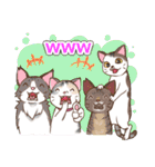ネコ吉スタンプ Vol.1（個別スタンプ：35）
