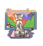 ネコ吉スタンプ Vol.1（個別スタンプ：38）