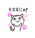 ネコ吉スタンプ Vol.2（個別スタンプ：18）