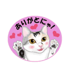 ネコ吉スタンプ Vol.3（個別スタンプ：6）