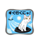 ネコ吉スタンプ Vol.3（個別スタンプ：30）
