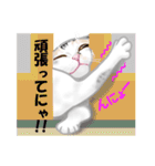 ネコ吉スタンプ Vol.3（個別スタンプ：35）