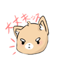 Shiba Sticker Set（個別スタンプ：2）