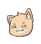 Shiba Sticker Set（個別スタンプ：3）