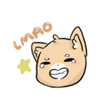 Shiba Sticker Set（個別スタンプ：6）