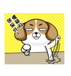 Tien Chang（個別スタンプ：3）