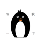Black hemp penguin（個別スタンプ：13）