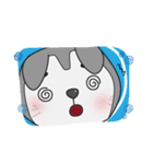 Siberian Husky's Lover（個別スタンプ：6）