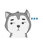 Siberian Husky's Lover（個別スタンプ：8）