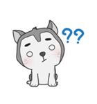 Siberian Husky's Lover（個別スタンプ：13）