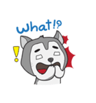 Siberian Husky's Lover（個別スタンプ：14）