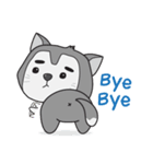 Siberian Husky's Lover（個別スタンプ：16）